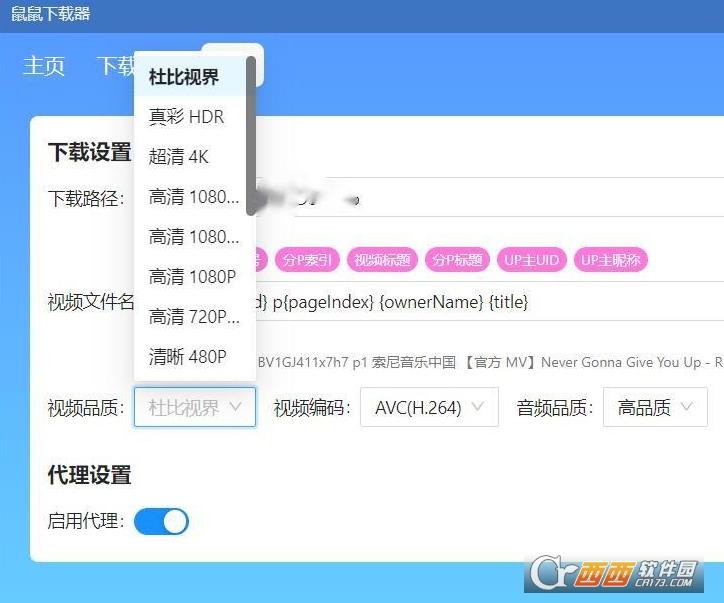 资源鼠下载器,便携版,bilibili视频.